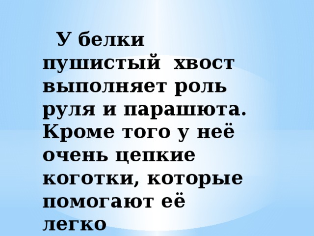 У белки пушистый хвост выполняет роль руля и парашюта. Кроме того у неё очень цепкие коготки, которые помогают её легко удерживаться на дереве.