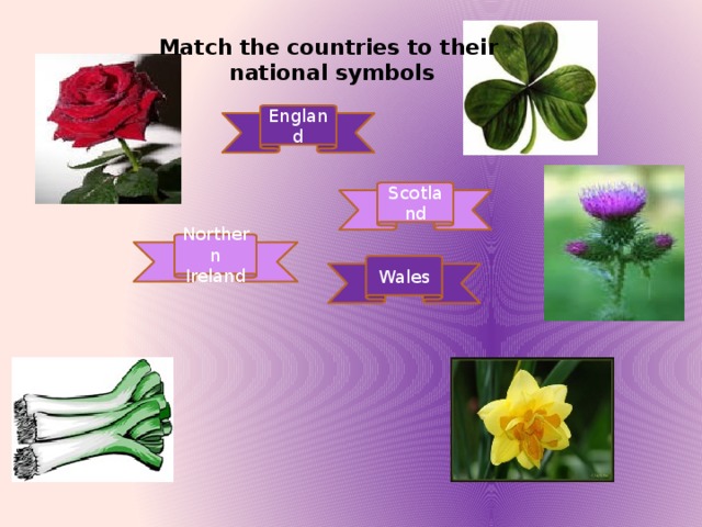 Match the countries to their  national symbols England Scotland Northern Ireland Wales