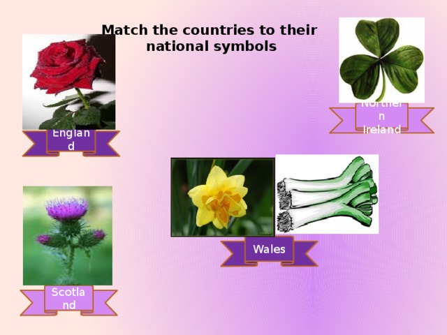 Match the countries to their  national symbols Northern Ireland England Wales Scotland