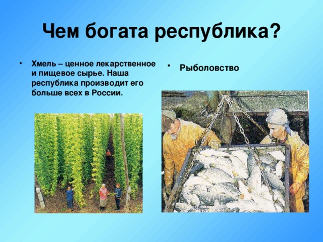 Чем богата республика?