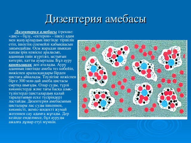 Жаңа сабақ  34.Біржасушалылардың табиғаттағы және адам өміріндегі маңызы а