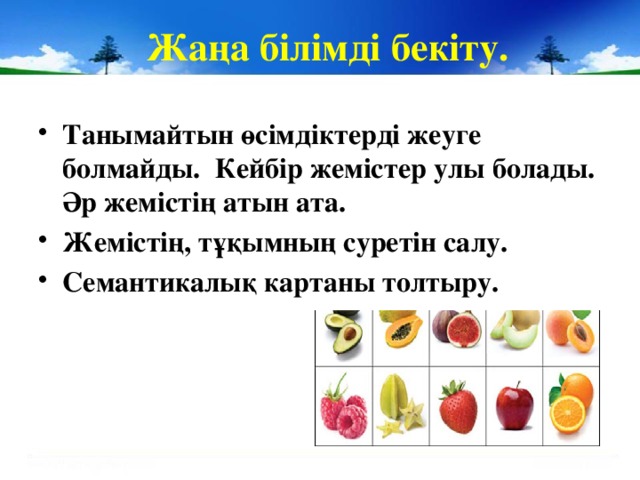 Жаңа білімді бекіту. Танымайтын өсімдіктерді жеуге болмайды. Кейбір жемістер улы болады. Әр жемістің атын ата. Жемістің, тұқымның суретін салу. Семантикалық картаны толтыру.