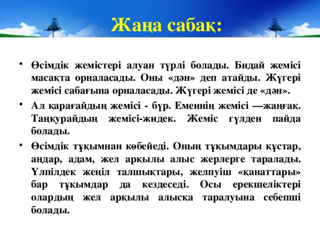 Жаңа сабақ: Өсімдік жемістері алуан түрлі болады. Бидай жемісі масақта орналасады. Оны «дән» деп атайды. Жүгері жемісі сабағына орналасады. Жүгері жемісі де «дән». Ал қарағайдың жемісі - бүр. Еменнің жемісі —жаңғақ. Таңқурайдың жемісі-жидек. Жеміс гүлден пайда болады. Өсімдік тұқымнан көбейеді. Оның тұқымдары құстар, аңдар, адам, жел арқылы алыс жерлерге таралады. Үлпілдек жеңіл талшықтары, желпуіш «қанаттары» бар тұқымдар да кездеседі. Осы ерекшеліктері олардың жел арқылы алысқа таралуына себепші болады.