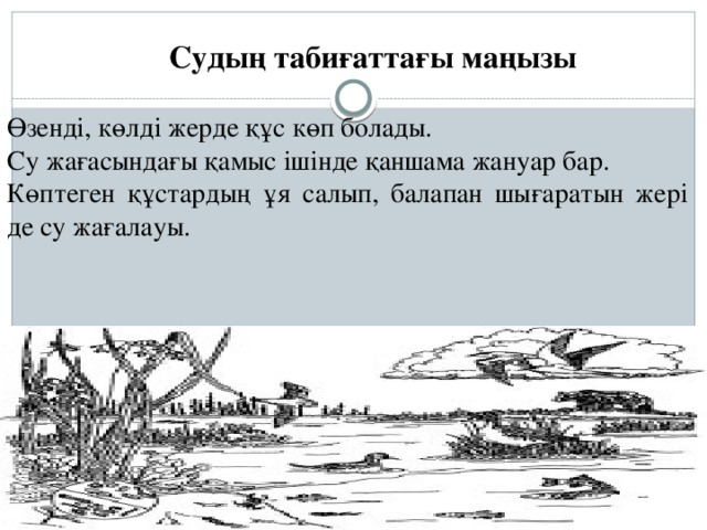 Судың табиғаттағы маңызы Өзенді, көлді жерде құс көп болады. Су жағасындағы қамыс ішінде қаншама жануар бар. Көптеген құстардың ұя салып, балапан шығаратын жері  де су жағалауы.