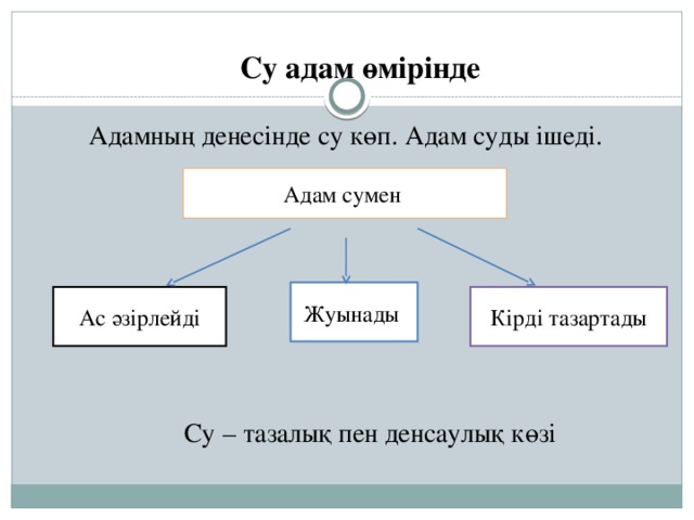 Су адам өмірінде Адамның денесінде су көп. Адам суды ішеді. Адам сумен Жуынады Ас әзірлейді Кірді тазартады Су – тазалық пен денсаулық көзі