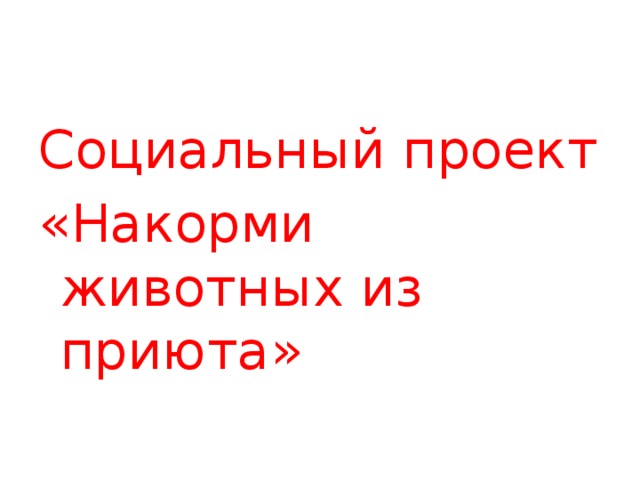 Социальный проект «Накорми животных из приюта»