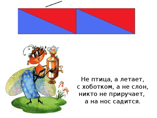 Не птица, а летает,  с хоботком, а не слон, никто не приручает,  а на нос садится.