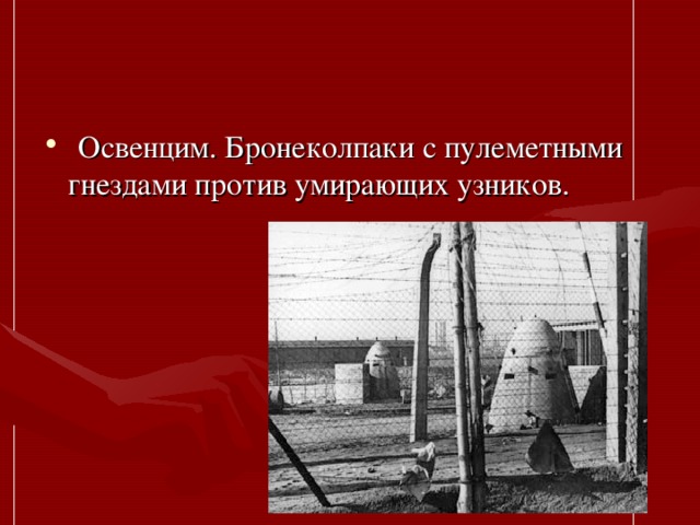 Освенцим. Бронеколпаки с пулеметными гнездами против умирающих узников.