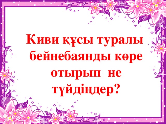 Киви құсы туралы бейнебаянды көре отырып не түйдіңдер?