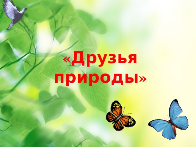 Друзья природы надпись. Друзья на природе. Мы друзья природы. Дружить с природой.