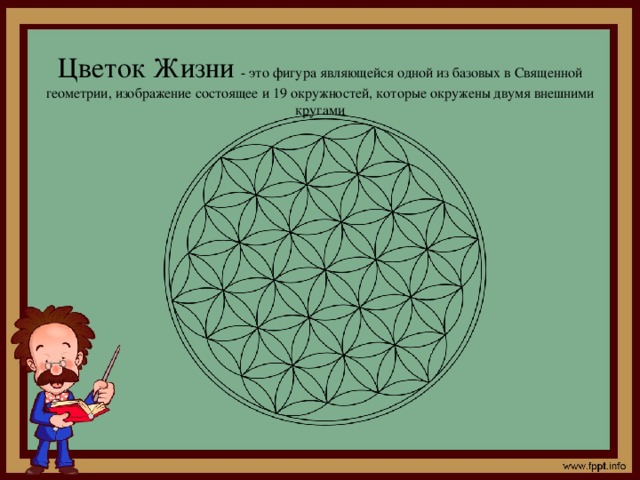 Цветок Жизни - это фигура являющейся одной из базовых в Священной геометрии, изображение состоящее и 19 окружностей, которые окружены двумя внешними кругами