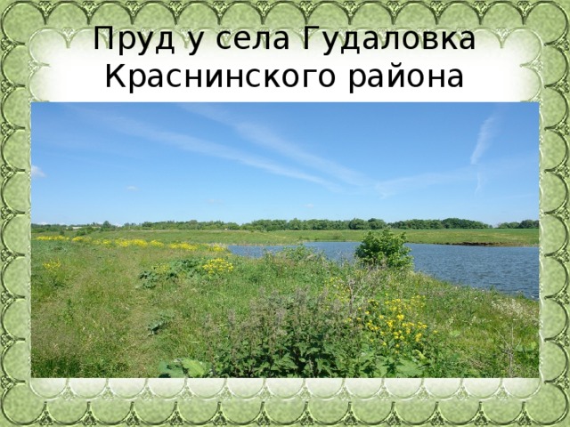 Пруд у села Гудаловка  Краснинского района 