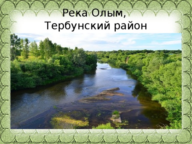 Река Олым,  Тербунский район