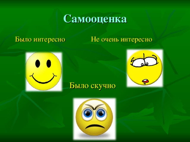 Самооценка  Было интересно Не очень интересно   Было скучно