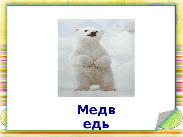 Медведь