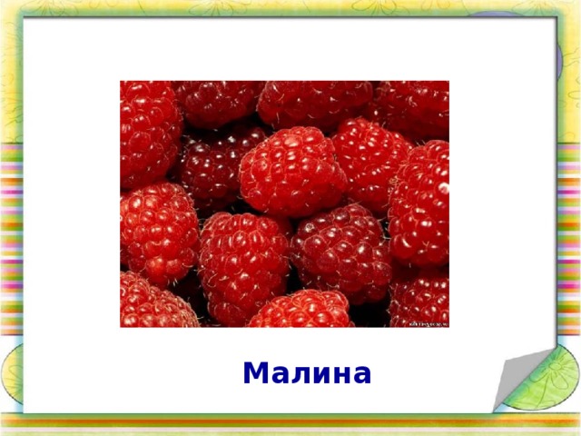 Малина