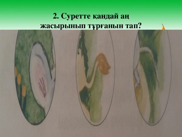 2. Суретте қандай аң жасырынып тұрғанын тап?