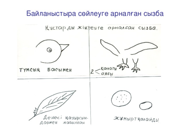 Байланыстыра сөйлеуге арналған сызба