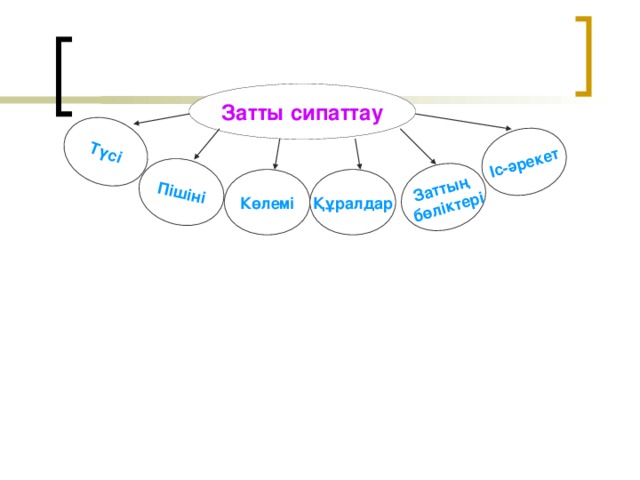 Түсі Заттың  бөліктері Іс-әрекет Пішіні Затты сипаттау Көлемі Құралдар