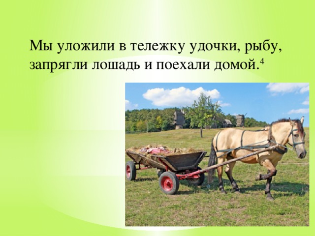 Мы уложили в тележку удочки, рыбу, запрягли лошадь и поехали домой. 4