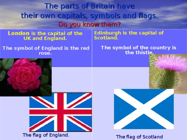 The parts of Britain have their own capitals, symbols and flags. Do you know them? London is the capital of the UK and England.  Edinburgh is the capital of Scotland. The flag of England. The symbol of England is the red rose.   The symbol of the country is the thistle.   The flag of Scotland