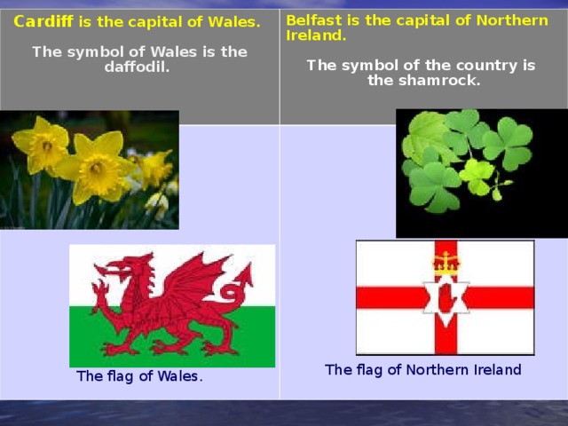 Cardiff is the capital of Wales.  Belfast is the capital of Northern Ireland. The flag of Wales. The symbol of Wales is the daffodil.   The symbol of the country is the shamrock.   The flag of Northern Ireland