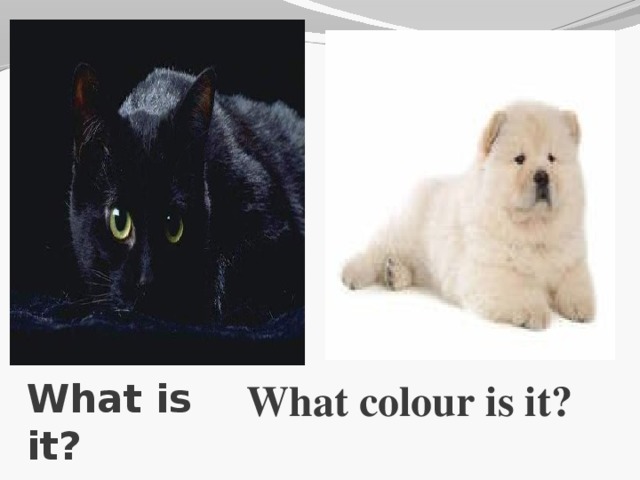 What is it? What colour is it?