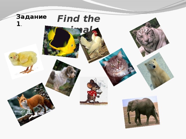 Find the animal. Задание 1 .