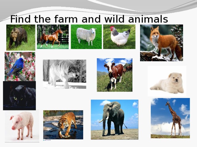Find the farm and wild animals