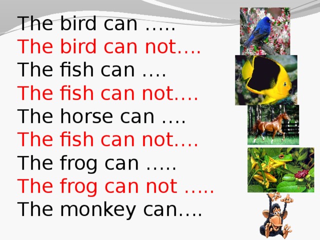The bird can …..  The bird can not….  The fish can ….  The fish can not….  The horse can ….  The fish can not….  The frog can …..  The frog can not …..  The monkey can….