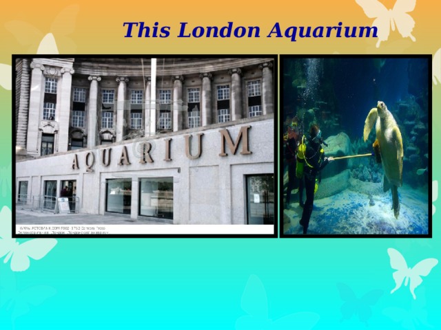 This London Aquarium