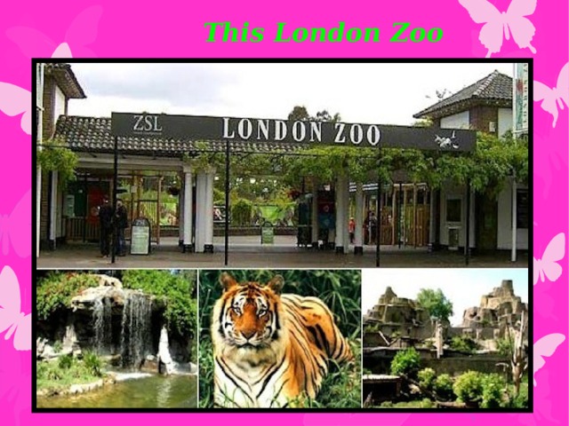 This London Zoo