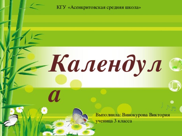 КГУ «Асенкритовская средняя школа» Календула Выполнила: Винокурова Виктория ученица 3 класса