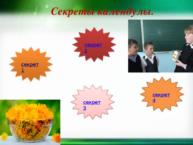 Секреты календулы.