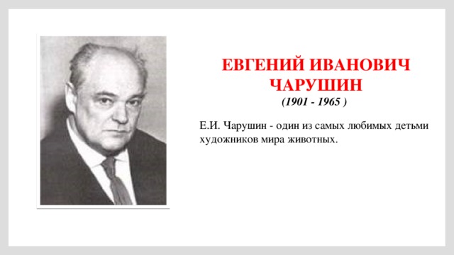 ЕВГЕНИЙ ИВАНОВИЧ ЧАРУШИН (1901 - 1965 ) Е.И. Чарушин - один из самых любимых детьми художников мира животных.