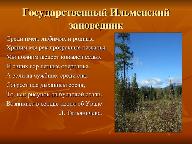 Государственный Ильменский  заповедник Среди имен, любимых и родных, Храним мы рек прозрачные названья. Мы помним шелест ковылей седых И синих гор лепные очертанья. А если на чужбине, среди сна, Согреет нас дыханием сосна, То, как рисунок на булатной стали, Возникнет в сердце песня об Урале.  Л. Татьяничева.