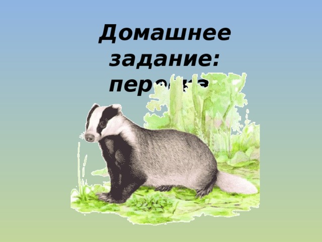 Барсучий нос паустовский план 3 класс. К. Паустовский "барсучий нос". Барсучий нос Паустовский слайд. Урок барсучий нос. Барсучий нос план.