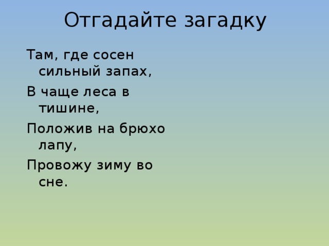 Отгадайте загадку   Там, где сосен сильный запах, В чаще леса в тишине, Положив на брюхо лапу, Провожу зиму во сне.