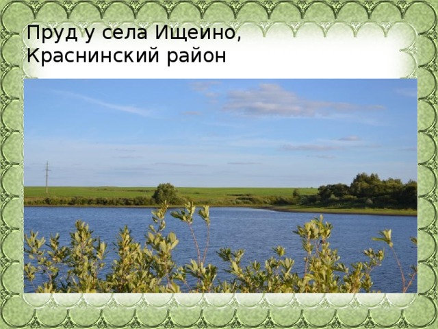 Пруд у села Ищеино,   Краснинский район