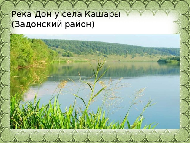 Река Дон у села Кашары  (Задонский район)