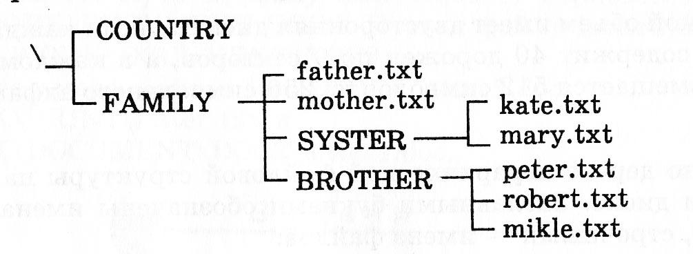 Структура txt. Дано дерево иерархической файловой структуры. Дано дерево иерархической файловой структуры на магнитном. Перечислите имена каталогов 1-го уровня. Дано дерево иерархической файловой структуры заглавными.