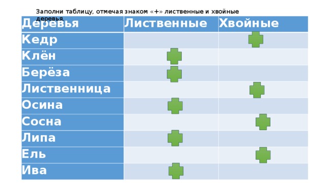 Заполни таблицу, отмечая знаком « + » лиственные и хвойные деревья. Деревья Лиственные Кедр Хвойные   Клён     Берёза Лиственница       Осина       Сосна     Липа Ель         Ива      