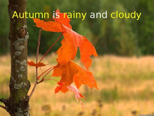 Autumn  is rainy and cloudy