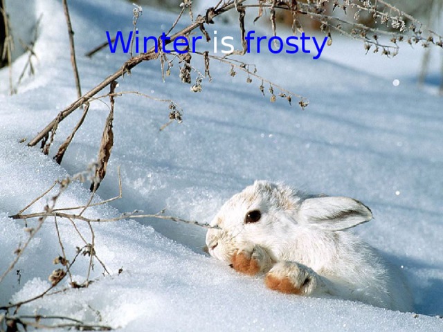 Winter is frosty
