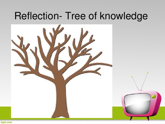 Reflection- Tree of knowledge