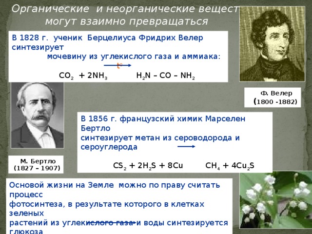 Органические и неорганические вещества  могут взаимно превращаться В 1828 г. ученик Берцелиуса  Фридрих Велер синтезирует  мочевину из углекислого газа и аммиака:    t 0  CO 2 + 2NH 3 H 2 N – CO – NH 2   Ф. Велер  ( 1800 -1882) В 1856 г. французский химик Марселен Бертло синтезирует метан из сероводорода и сероуглерода  CS 2 + 2H 2 S + 8Cu CH 4 + 4Cu 2 S  М. Бертло  (1827 – 1907) Основой жизни на Земле можно по праву считать процесс фотосинтеза, в результате которого в клетках зеленых растений из углекислого газа и воды синтезируется глюкоза   солнечный свет  6 CO 2 + 6H 2 O  C 6 H 12 O 6 + 6О 2