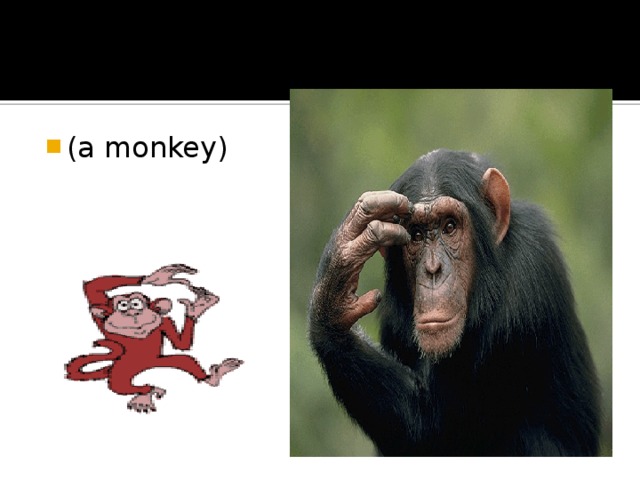 (a monkey)