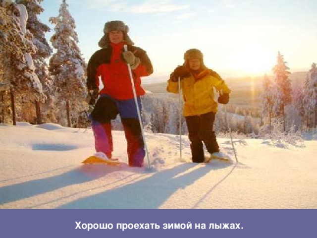 Хорошо проехать зимой на лыжах.