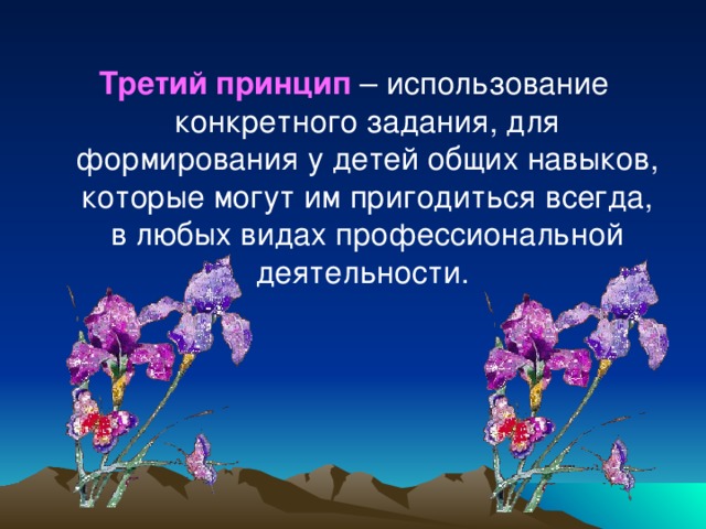 Третий принцип  – использование конкретного задания, для формирования у детей общих навыков, которые могут им пригодиться всегда, в любых видах профессиональной деятельности.