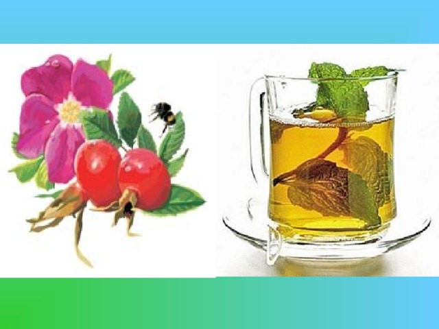 Приготовление фито чая из шиповника     Способ приготовления: 1 ст. л. плодов залить водой {1,5-2 стакана), кипятить в эмалированной посуде 5-10 минут, настоять в термосе. Горячий напиток пьют при простудах, сопровождающихся ознобом, холодный - в жару. Польза: профилактика авитаминоза – содержит в 30 раз больше витамина С, чем лимон. Укрепляет иммунитет